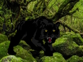 Spel Ontsnap uit Black Panther Forest  aanlyn