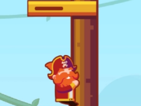 Spel Seerowers  aanlyn