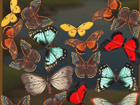 Spel MergeButerfly: 2048! aanlyn