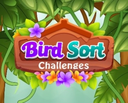 Spel Bird sorteer uitdagings  aanlyn