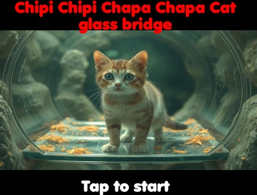 Spel Chipi Chipi Chapa Chapa Cat Glass Bridge aanlyn