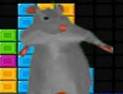 Spel Ratomilton val blokke  aanlyn