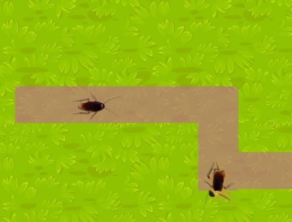 Spel Insekbreker  aanlyn
