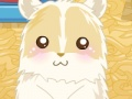 Spel Hamster liefde  aanlyn