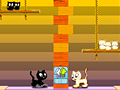 Spel Kocani katte aanlyn