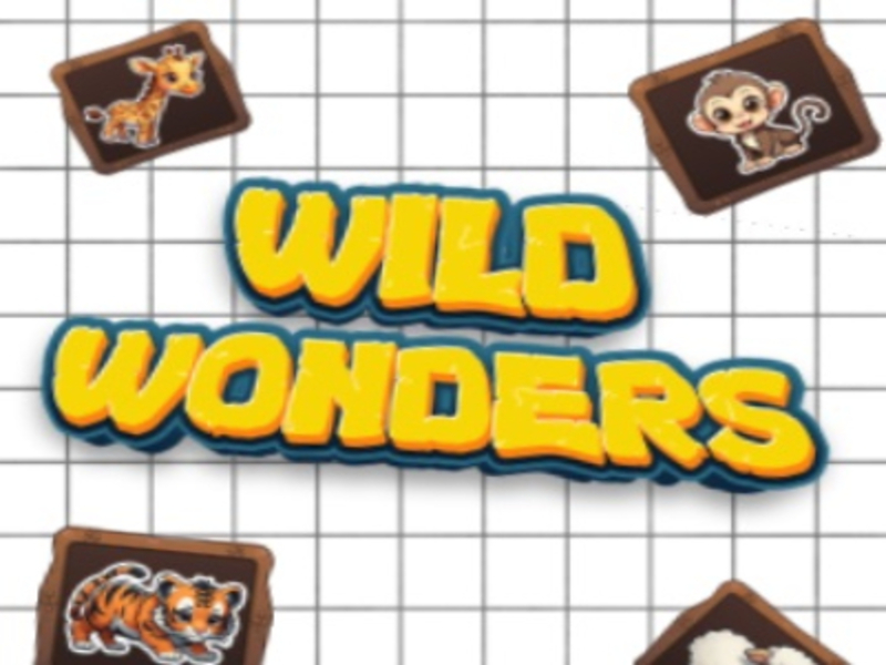 Spel Wilde wonders aanlyn
