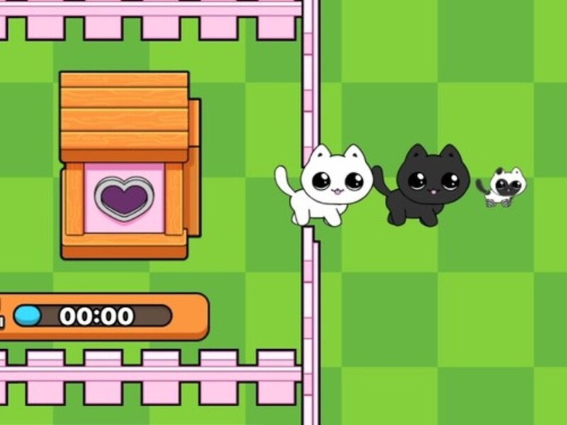 Spel My katjies. Katworld aanlyn