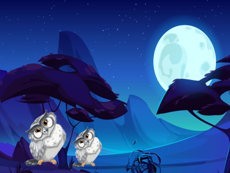 Spel Night Paws Rescue aanlyn