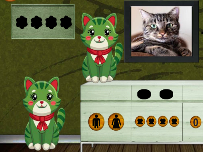 Spel Soek die nuuskierige freaky kat aanlyn